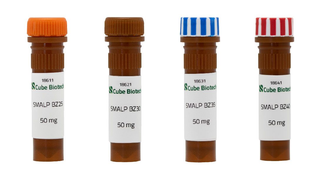 SMALP BZ Screening Kit