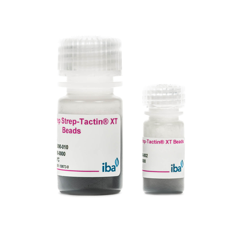MagStrep Strep-Tactin®XT Beads
