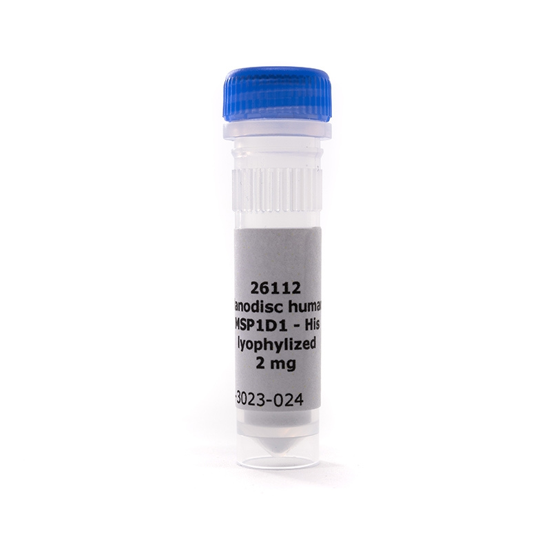 MSP1D1-His, Lyophilized Protein