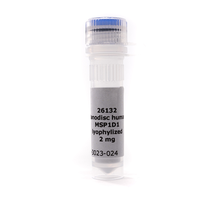 MSP1D1, Lyophilized Protein