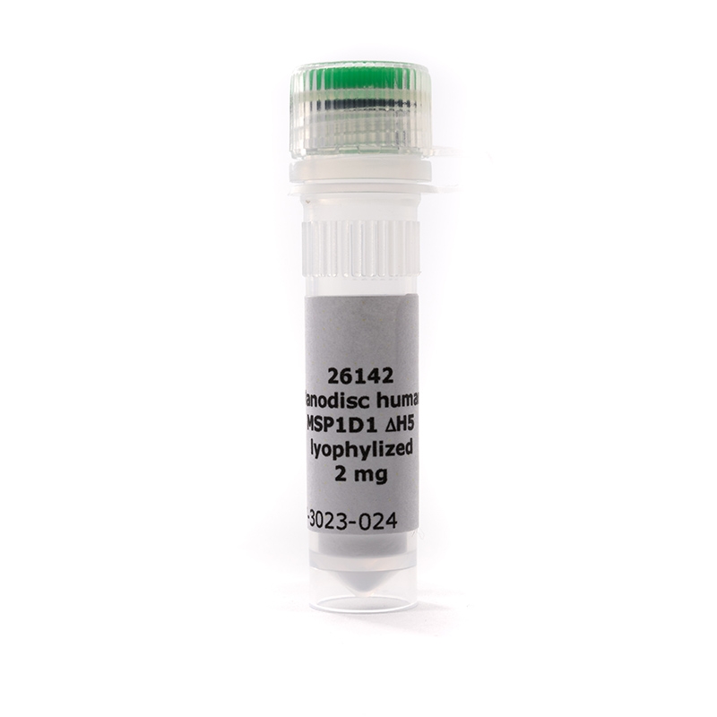 MSP1D1 dH5, Lyophilized Protein