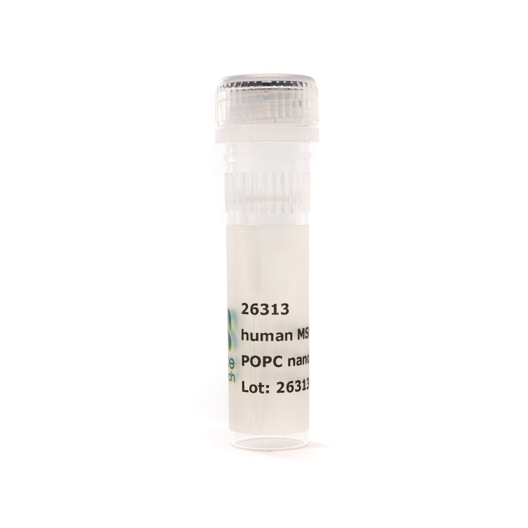 Nanodisc MSP1D1-His POPC