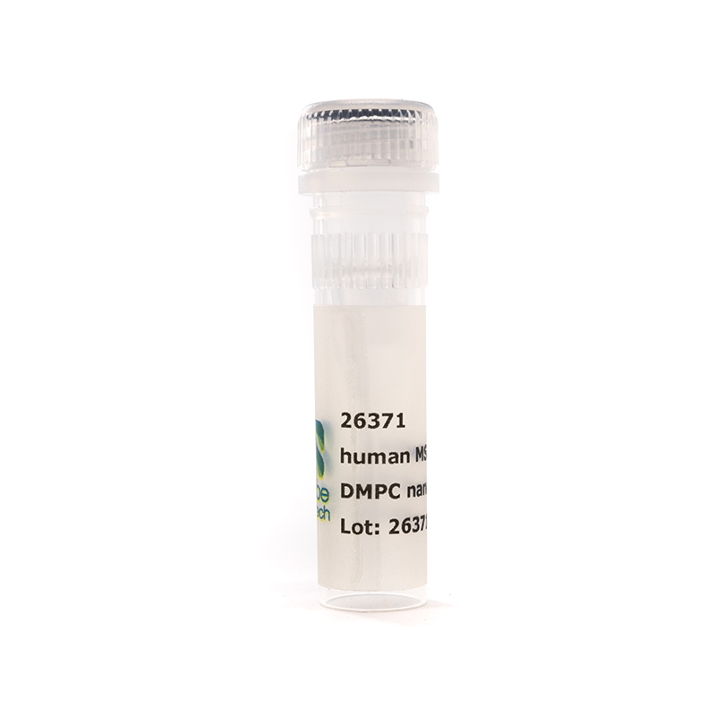 Nanodisc MSP2N2-His DMPC