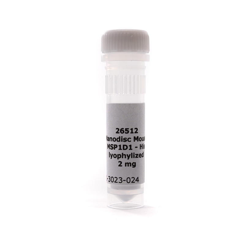 Mouse MSP1D1-His, Lyophilized Protein