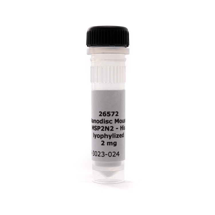 Mouse MSP2N2-His, Lyophilized Protein