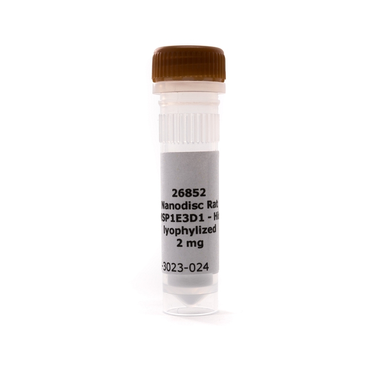 Rat MSP1E3D1-His, Lyophilized Protein