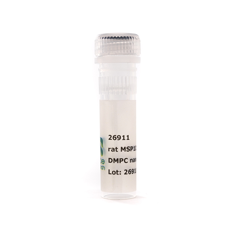 Nanodisc Rat MSP1D1-His DMPC