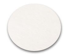 Aligned Nanofibers 6 Well Plate Inserts