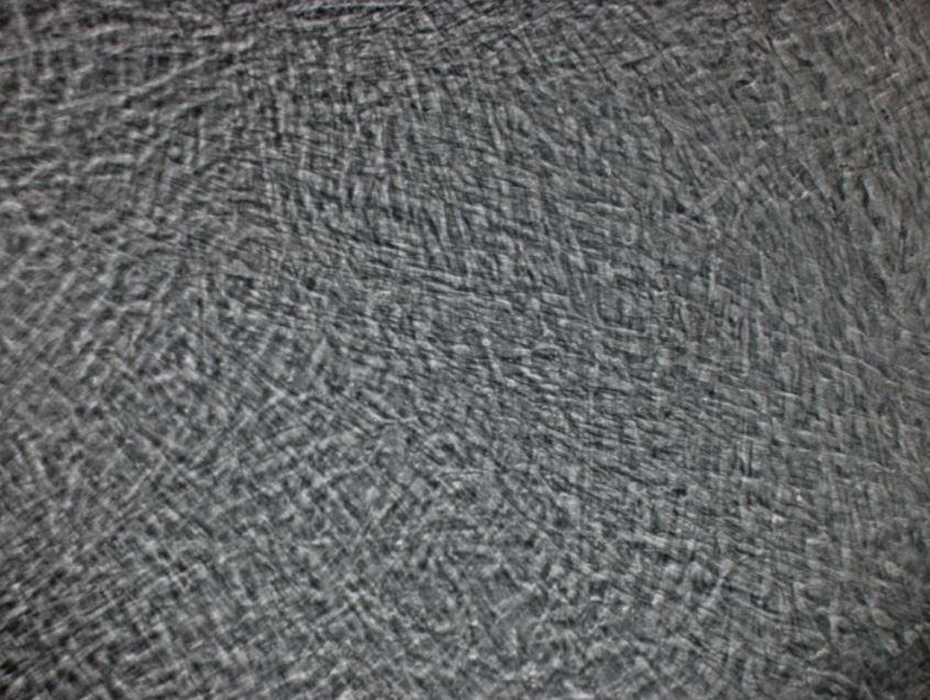 Lung CAFs in culture. Grown using CAF Growth Media (cat. CAFM03)