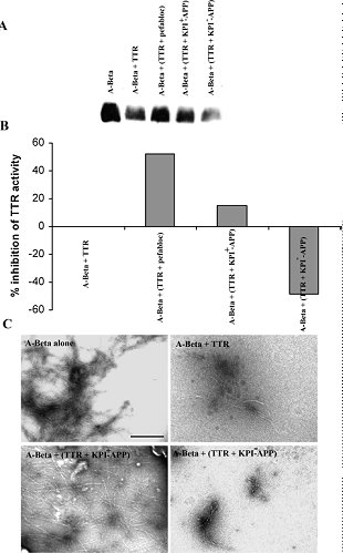 APP 228