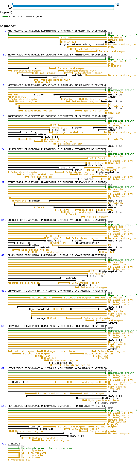 HGF Structure and Sequence