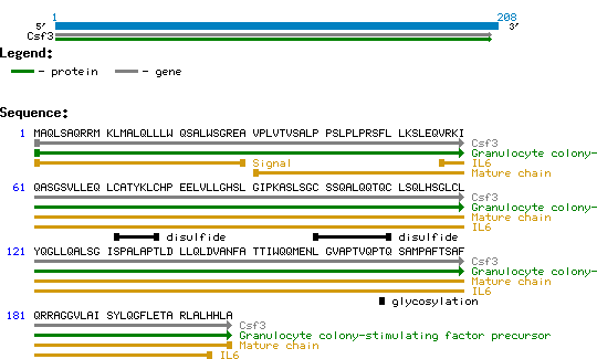 G-CSF Mouse Structure and Sequence