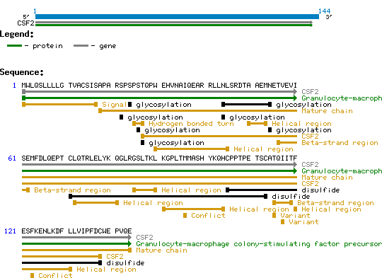 GM-CSF Sf9 Structure and Sequence