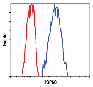 Flow cytometric analysis of HeLa cells using HSP60 (D85) Antibody (blue) compared to a nonspecific negative control antibody (red).